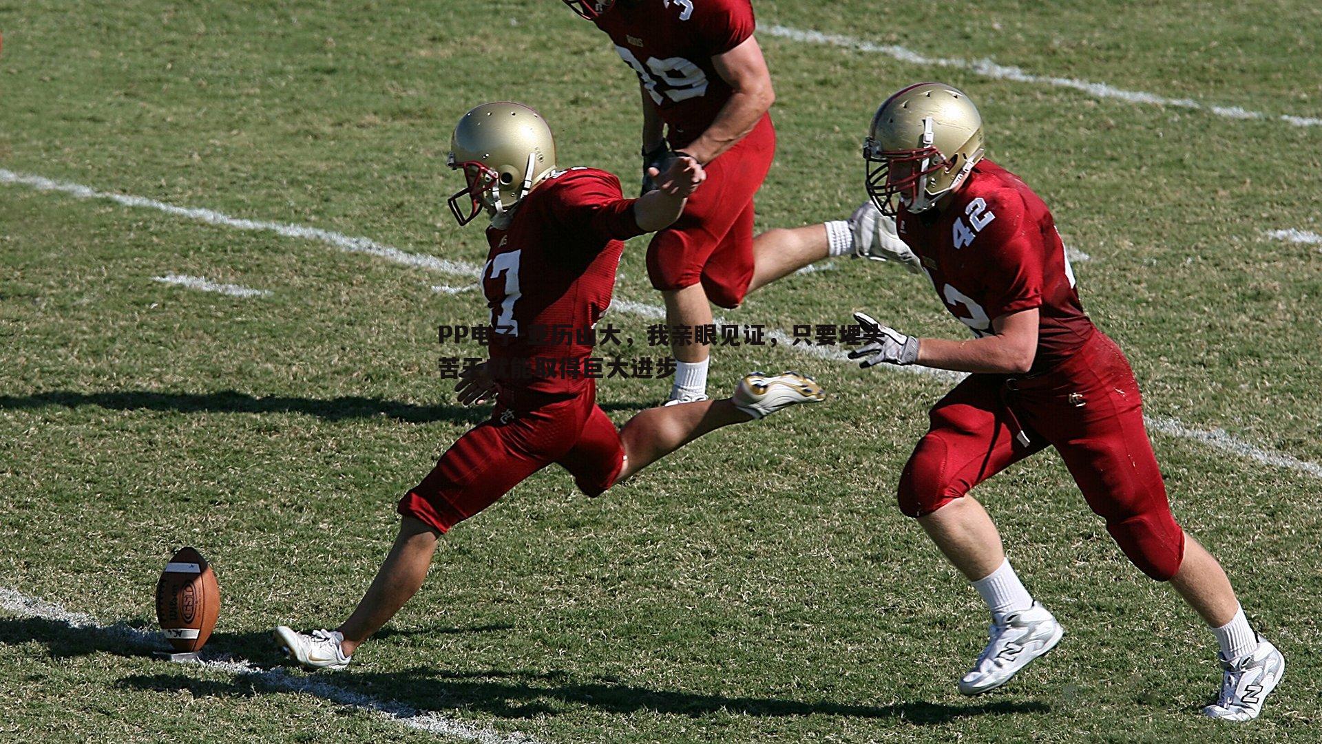 PP电子-亚历山大，我亲眼见证，只要埋头苦干就能取得巨大进步