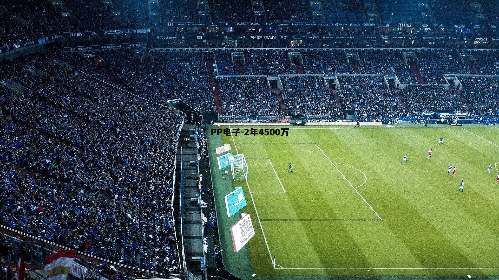 PP电子-2年4500万